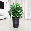 Decorative Flowers Aqumotic Fake Money Tree 1pc Artificial Shrubs Pachira Macrocarpa Outdoor Garden Greening For Home Afforest Hourse