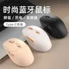 Topi Nuovo portatile 2,4 g Wireless Bluetooth Silent Mouse Girl Cute Type-C Charging Mouse Office Y240407