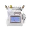 Professionele multifunctionele schoonheidsmachine Kleine Bubble Oxygen Face Face Lift Skin Verjongingsapparatuur Apparatuur