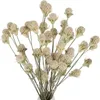 Декоративные цветы 50 шт. Натуральные сушеные букет