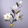 Fiori decorativi Magnolia Simulazione di fiori Eva schiuma grande europea Fallo di fascia alta FASHEFFICILE ARTICIFICA