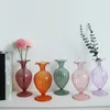 Vases Vintage Simple Big Belly Glass Vase Colorful Clear Hydroponic Home Ornament Wedding Decor