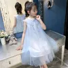 Sukienka dla dzieci sukienka letnia sukienka księżniczka Kamisole spódnica puchowa spódnica dla dzieciaku spódnica 1098 240325