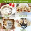 Decorative Flowers Mixed Color Dried Babys Breath Flower Gypsophila Wedding Decoration Bridal Bouquets Holiday Gifts Paniculata Table