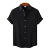 Men's Casual Shirts Linen Shirt For Man High Quality Luxury T-shirt Fashion Clothing Blouses Social T-shirts Hawaiian