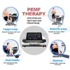 PMST LOOP PRO MAX Human And Horses Pulsed Electromagnetic Field Pemf Magnetic Therapy Device For Antirheumatic Body Pain Relief Equine Injure Rehabilitation