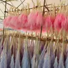 Decorative Flowers Natural Dried Reed Grass With Primary Color Pink And Black High Quality Bouquet Shooting Props Table Bedroom Decoratio