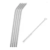Drinking Straws Stainless Steel Reusable Metal Pointed Bubble Tea Tubule Cleaner Brush With Pouch Bag Set