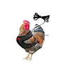 Altre forniture per animali domestici imbracatura di pollo regolabile con guinzaglio comodo galliero addestramento in rete traspirante e cintura di cerniera per anatra drop del dhact