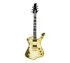 Wysokiej jakości SignatureCrackedMirrorgold Electric Guitar Solid Mahoni Body z płomieniem klonu Chrome Splated Hardware 7321718