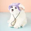 Tie de vêtements pour chiens teinture du chapeau de compagnie mignon matériau de coton