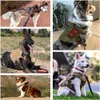 Tactical Dog Harness Pet German Shepherd K9 Malinois Training Vest and Leash Set för alla raser hundar 240328