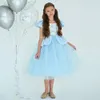 Princess Sky Blue Square Girl's Birthday/Party Dresses Girl's Pageant Dresses Flower Girl Dresses Girls Overyday Gonnets Kids 'Wear SZ 2-10 D407258