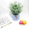 Vases Artificial Potted Office Home Decor Lavender Flowers Flowers Plastic Life Life Lifore Bonsai