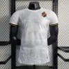 24/25 Aik Solna Soccer Jerseys Estocolmo Especial-edição Hussein Otieno Guidetti Thill Tihi Haliti 132 ANO HISTÓRIA DA HISTÓRIA DO FOOTH SHIST