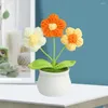 Decorative Flowers Woven Potted Plant High-quality Preserved Handmade Crocheted Small Flower Realistic Yarn For Stylish