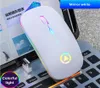 Epacket Wireless Mice Bluetooth RVB RGB RECHARGable Souris Silent Computer LED Backlit Ergonomic Gaming Mouse pour ordinateur portable PC1734118