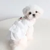 Abbigliamento per cani Colori bianchi e neri DOT Gonna d'onda in chiffon 2024 Accessori per prodotti per animali domestici per gatti primavera estivi