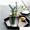 Drinking Straws Colorf Glass STS Reutilizável St.