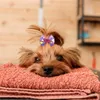 Vêtements pour chiens 50 / 100pcs de cheveux de la Saint-Valentin avec des élastiques beaux animaux de compagnie de toilettes filles chiens Cat bowknot accessoires