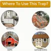 Vallen mousetrap schuifdeksel deksel Smart Flip Slide Bucket Catcher herbruikbare ratten Trap Trap Home Indoor Outdoor Auto Reset Mice Trap