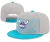 '' Hornets 'Ball Caps 2023-24 Campeões de algodão unissex Campeões de algodão Tap Snapback Snapback Men Women Sun Hat Bordery Spring Summer' '' Cap A1