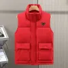 Herrens designer Vest Men's Cotton Vest Kvinnor Vinter Vest Warm Light Men's Warm Casual Jacket, Hoodie Matching Jackets