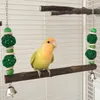Altre forniture per uccelli oscillano con perle di rattan ponte giocattolo per i amici