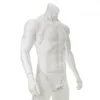 Underpants Men sexy Stretch Band Cintura del torace Cingcio Full Body Cink Cabla