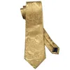 Coules de cou Golden Mens Tie Paisley Silk Tie Pocket Square Box Box Box Barry.Homme de luxe pour hommes Bowtie Mens Gravat Wedding BB-5150 C240412