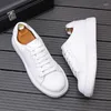 Casual Shoes Men's Classic Fashion Simple White Lace Up Board Male Causal Flats Moccasins Sports Walking Sneakers Zapatos Hombre