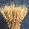 Decorative Flowers 50Pcs Real Wheat Ear Natural Dried Eternal High Quality Artificial Gifts For Women Christmas Ornaments Pampas