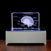 Sculpturen 3D Human Anatomical Model Crystal Laser Brain Sculpture Cube Paperweight Figurines Thinking Medical Science Gift