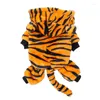 Vestuário para cachorro gato gato engraçado tigre de quatro pernas outono e shorts de gatinho de inverno