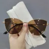 Lunettes de soleil 2022 Hot Fashion Grand Retro Cat Eye Lunettes de soleil Femmes Tendance Été Lunes de conduite UV400 Womensl2404