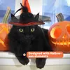 Dog Apparel Pet Halloween Hat Collar Funny Costume Adorable Themed Decorative Cat Kitten Adjustable Puppy Collars Litter