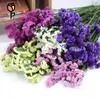 Decorative Flowers 120g Natural Dried Forget Me Not Bouquets Wedding Decoration Artificial Flower Myosotis Home Decor Christmas Supplies