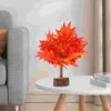 Fleurs décoratives plantes artificielles simulées en érable faux bonhtop ororment ensemble de table de table décor ornements pour le bureau à domicile intérieur