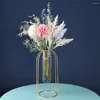 Vaser multifunktionshydroponisk blomkruka konst vacker och praktisk vas växt glas akvarium hantverk