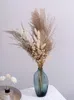 Decoratieve bloemen Gedroogde pampa's Gras Babys Bread Bouquets Home Decoratie TAIL Woonkamer Decor Bruiloftarrangementen