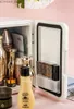 Freezer Mini-koelkast 4L Beauty Freezer voor make-up en huidverzorging draagbare auto en huishoudelijk warm en koude machine van hoge kwaliteit 12/220V BX25 Y240407