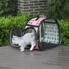 Cat Carriers Crates Houses EV Transparent Pet Bag Dog Foldbar stor rabatt H240407