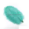 Feathers Wholesale 100Pcs White Ostrich Plumes 25-30Cm Diy Jewelry Making Wedding Home Decoration Crafts Accessories Needlework Plum Dhdsg