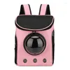 Cat Carriers Pet Bag Backpack Window för Carrier Corp Dogs Buggy Fashion Trave Shaped