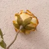 Декоративные цветы искусственное украшение розы Реалистичное изображение цветочный декор