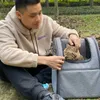 Cat Carriers Crates Houses Pet bag backpack summer breathable cat portable for going out carrying cats dogs backpacks dog bags H240423