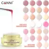 Analyzer Canni Wholesale 25pcs Extension Gel Thinner Camouflage Jelly Nail Sculpture Gel Transparent Clear Nail Manicure Function Gel