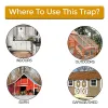 Traps Reusable Smart Mouse Rat Trap Plastic Flip N Slide Bucket Lid Mouse Trap Humane Or Lethal Door Style Multi Catch