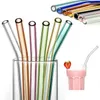 Drinking Straws Colorf Glass STS Reutilizável St.