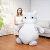 Movies TV Plush Toy Nieuw 150 cm Big Belly Cat Plush Toy Plush Cat Plush Pillow Soft Cat Leather Shell Plushie Pillow Gifts For Valentine Boys Girls 240407